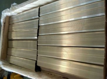 Le magnésium d'extrusions de magnésium profile le profil d'extrusion de magnésium d'AZ31 AZ61 AZ91
